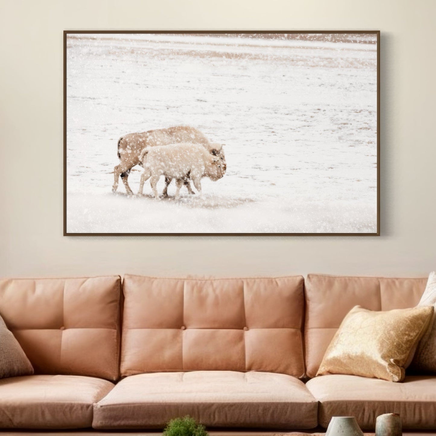 White Buffalo Cow and Calf Wall Art Teri James Photography