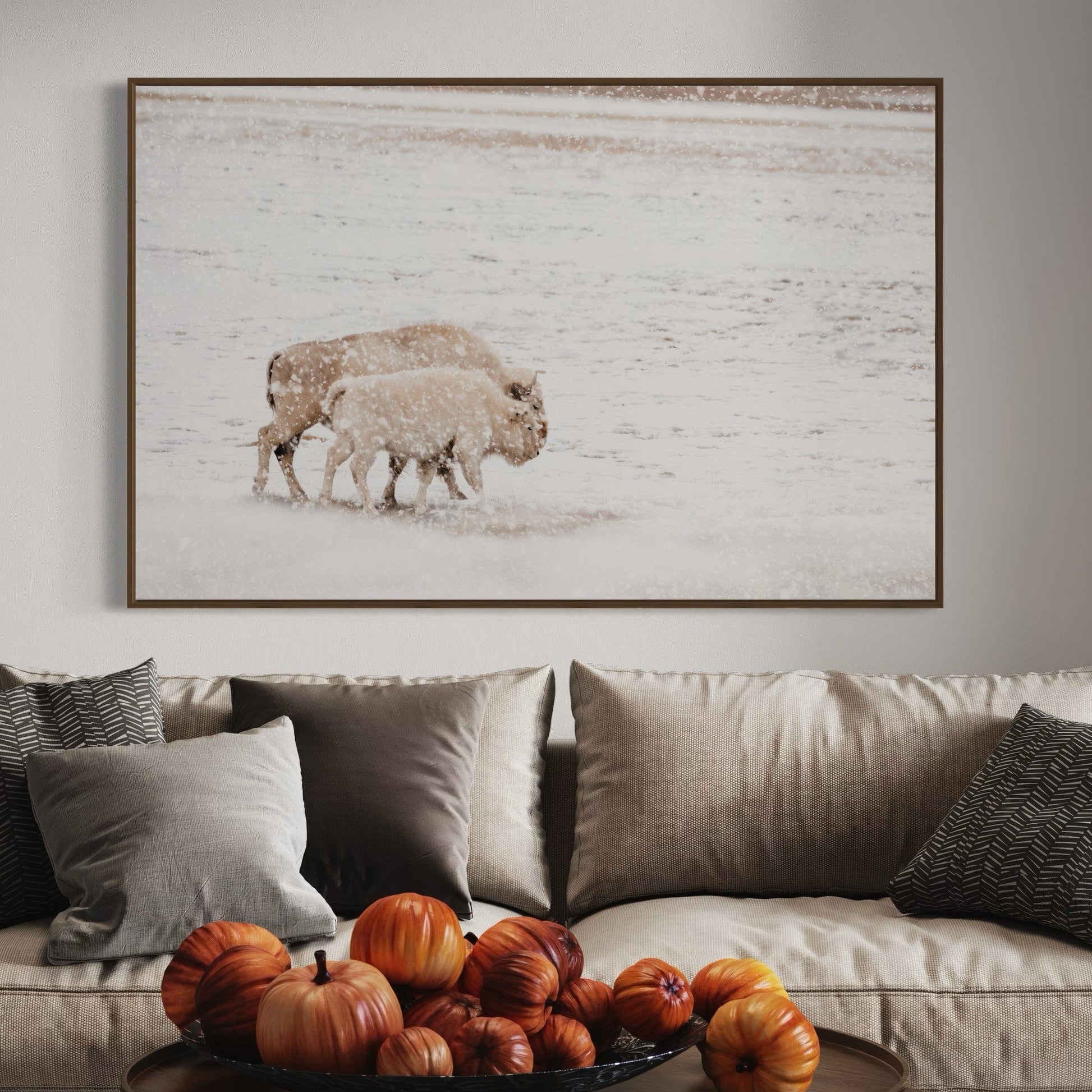 White Buffalo Cow and Calf Wall Art Teri James Photography