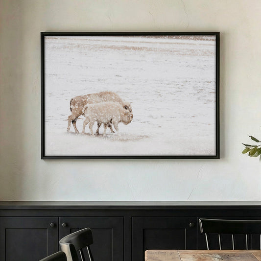 White Buffalo Wall Art - Buffalo Canvas Print With Cow and Calf Wildlife Decor Wall Art Teri James Photography