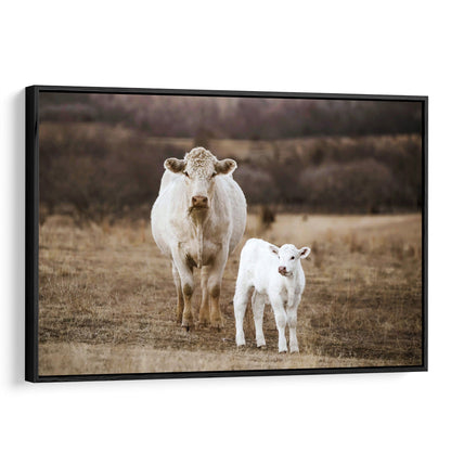 White Charolais Cow and Calf Western Nursery Wall Art Canvas-Black Frame / 12 x 18 Inches Wall Art Teri James Photography