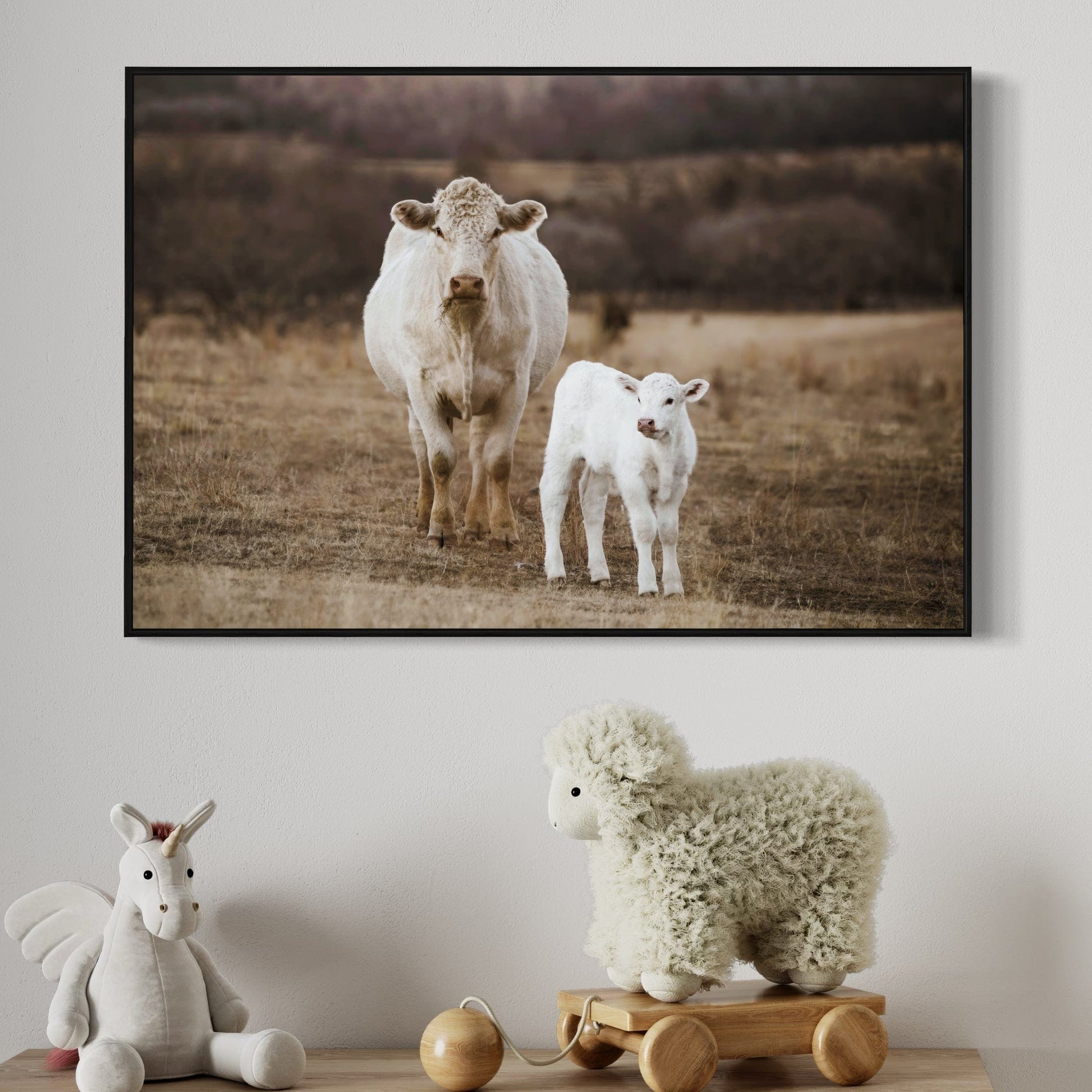 White Charolais Cow and Calf Western Nursery Wall Art Wall Art Teri James Photography