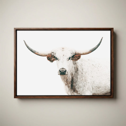 White Texas Longhorn Cow Wall Art for Cowboy Chic Decor