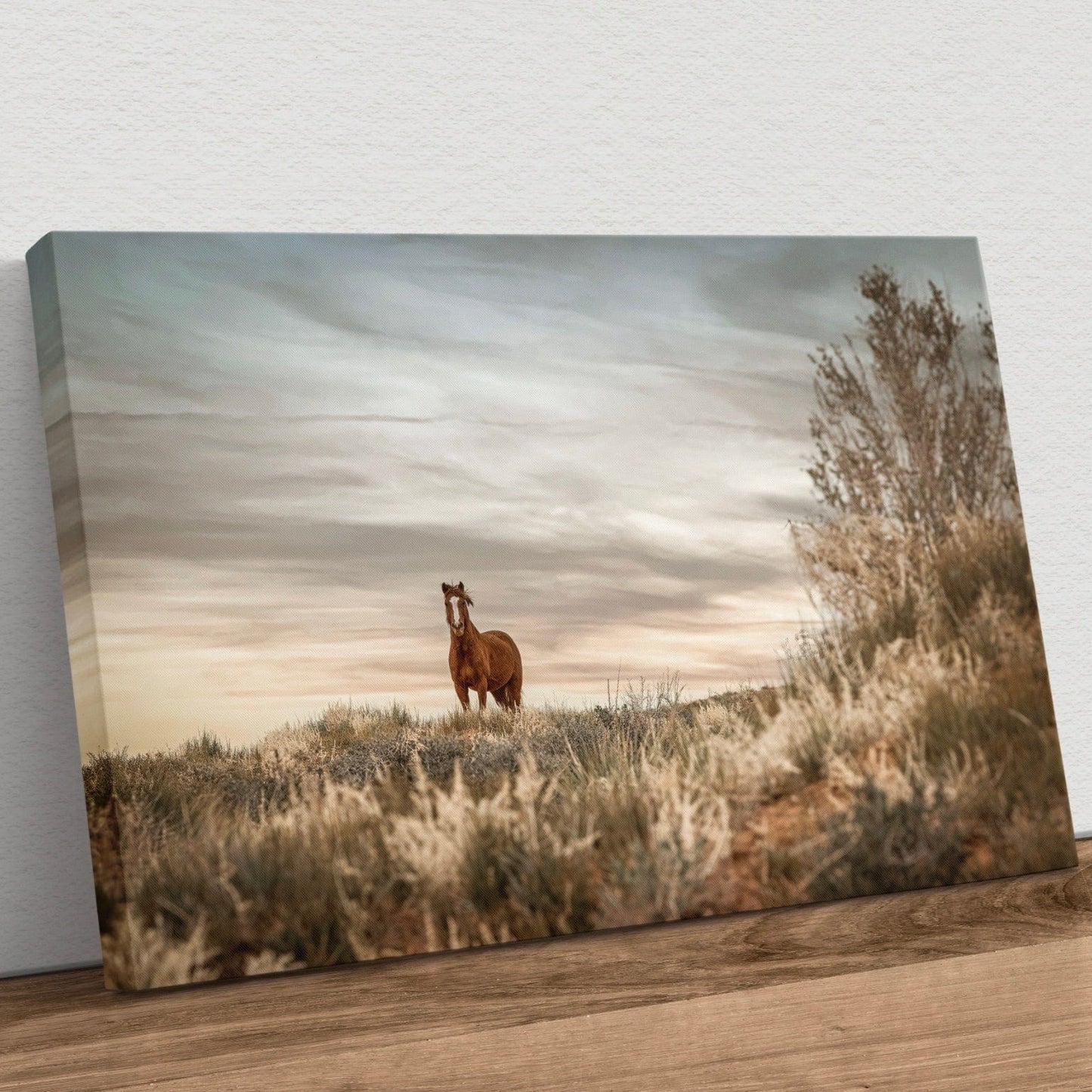 Wild Horse in Monument Valley, Utah Canvas-Unframed / 12 x 18 Inches Wall Art Teri James Photography