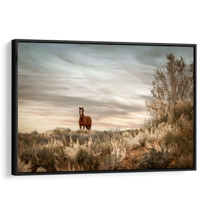 Wild Horse in Monument Valley, Utah Canvas-Black Frame / 12 x 18 Inches Wall Art Teri James Photography