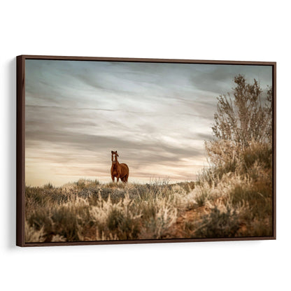 Wild Horse in Monument Valley, Utah Canvas-Walnut Frame / 12 x 18 Inches Wall Art Teri James Photography