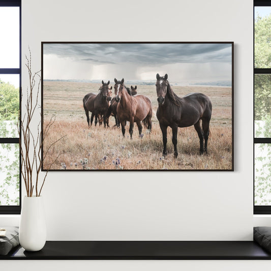 Wild Horses and Stormy Sky Wall Decor Wall Art Teri James Photography