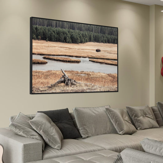 Yellowstone Bison Canvas Print Wall Art Teri James Photography