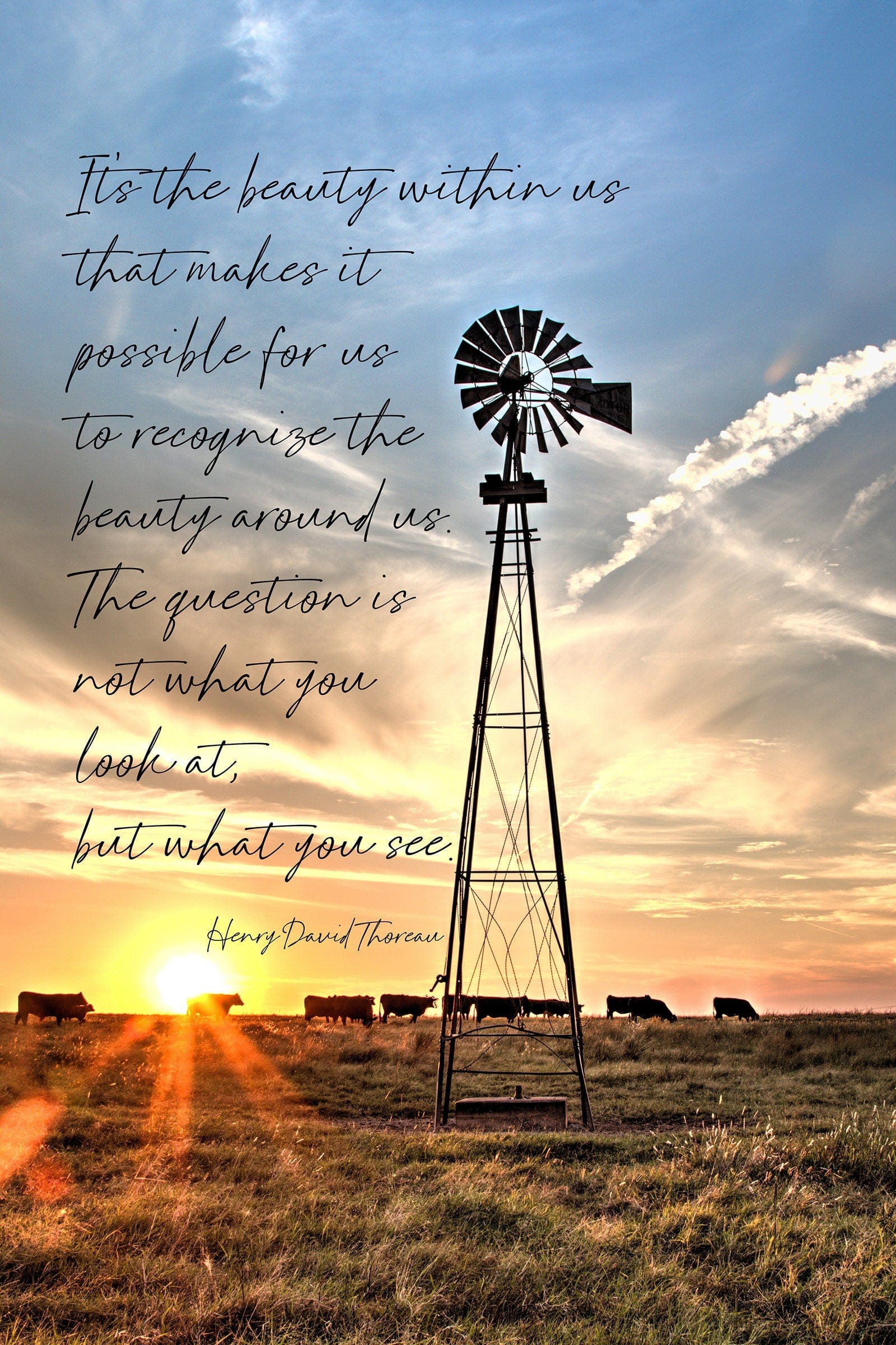 Henry David Thoreau Quote - Old Windmill Art Paper Photo Print / 12 x 18 Inches Wall Art Teri James Photography