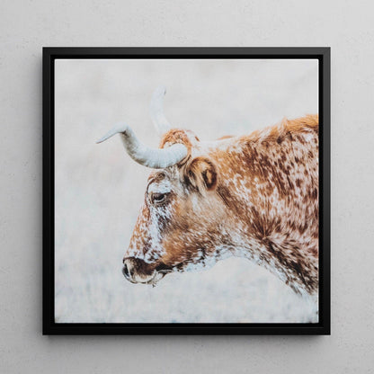 Texas Longhorn Cattle Art Canvas-Black Frame / 16 x 16 Inches Wall Art Teri James Photography