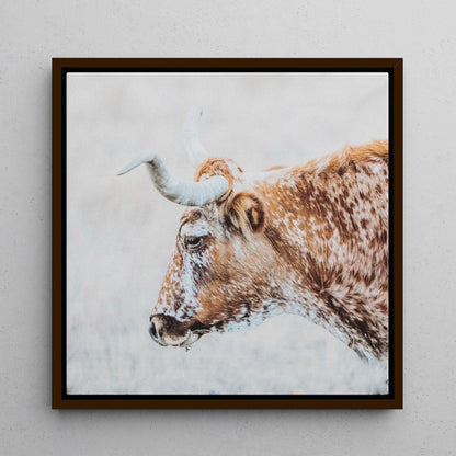 Texas Longhorn Cattle Art Canvas-Walnut Frame / 16 x 16 Inches Wall Art Teri James Photography