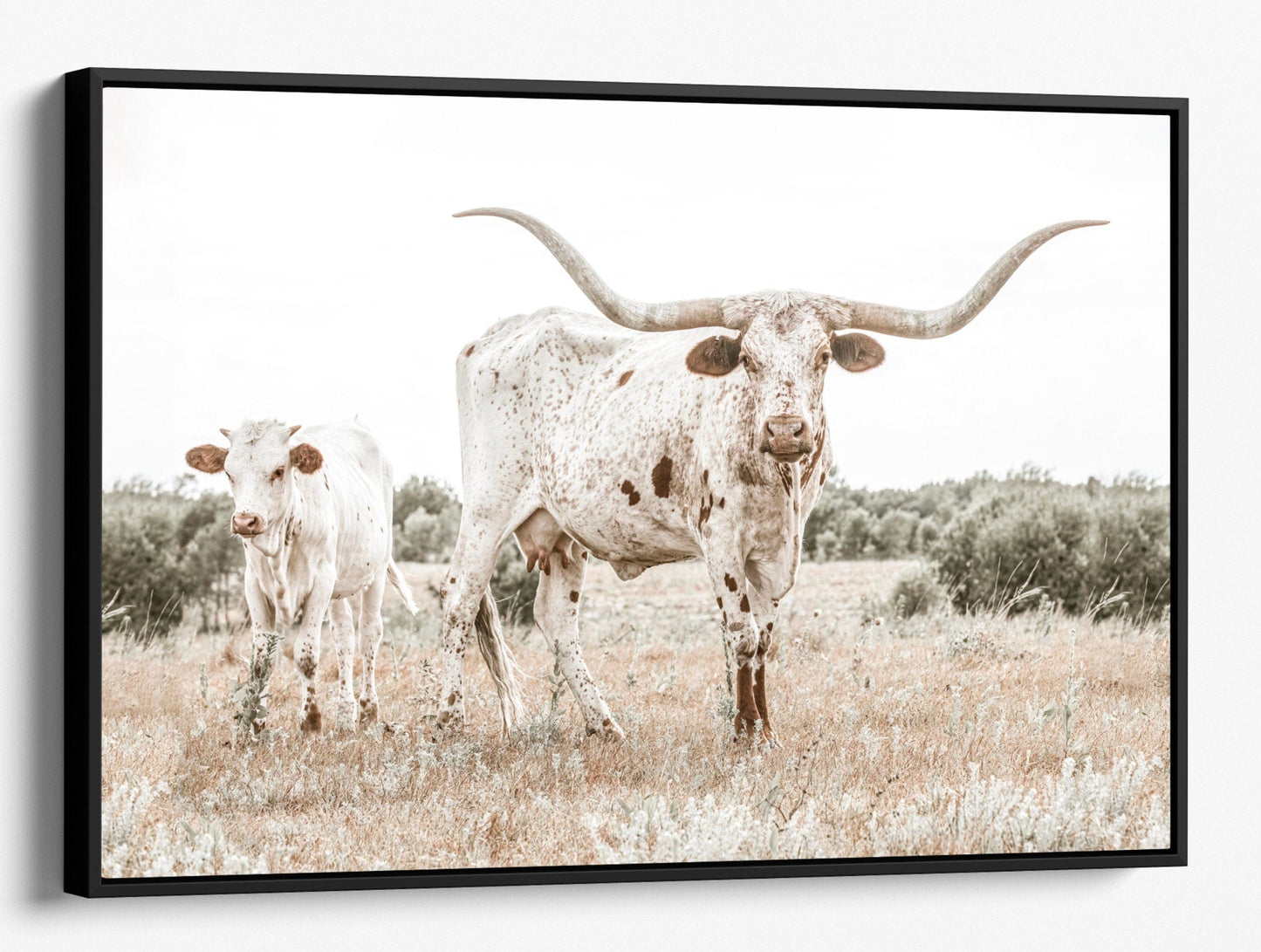 Texas Longhorn Cow & Calf Wall Art Canvas-Black Frame / 12 x 18 Inches Wall Art Teri James Photography