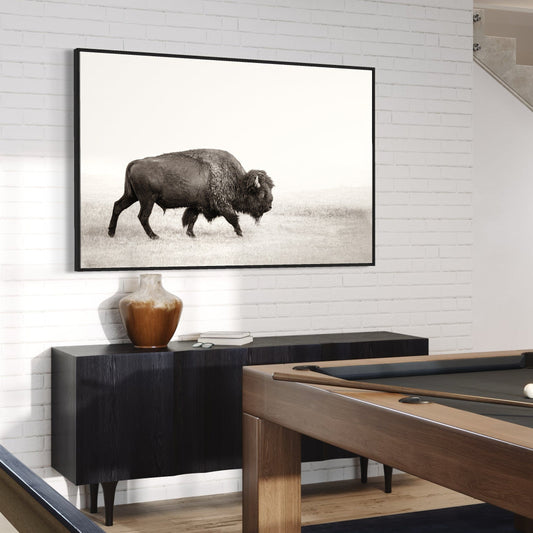 bison canvas wall art in black and white