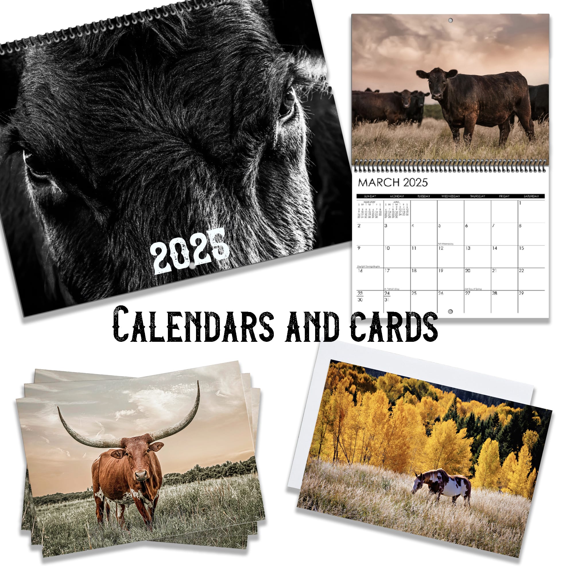 Western Calendars Planners & Cards Teri James Photography