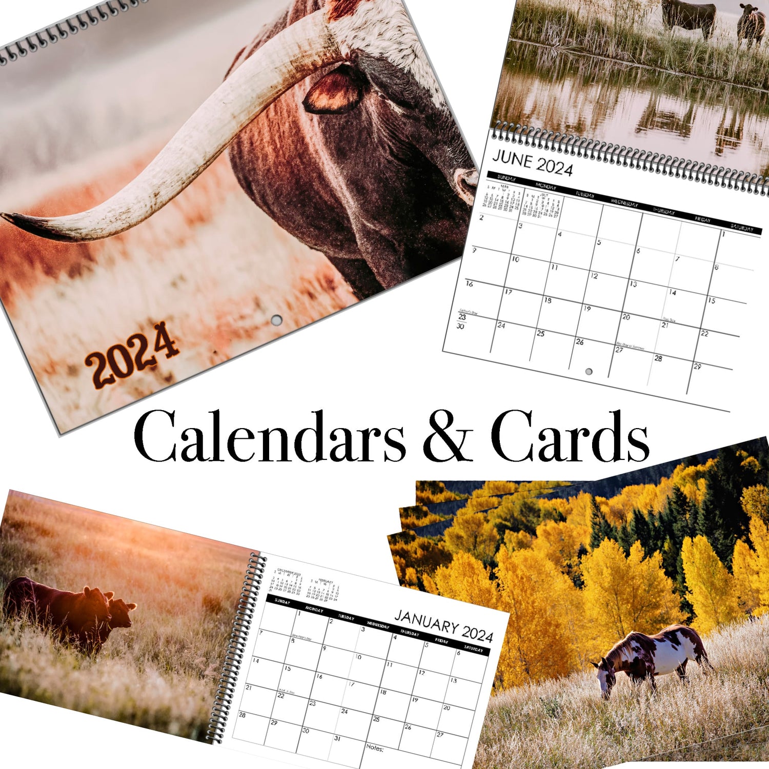 Western calendars and greeting cards featuring photos of Texas Longhorns, Black Angus cattle, horses, old barns and windmills.