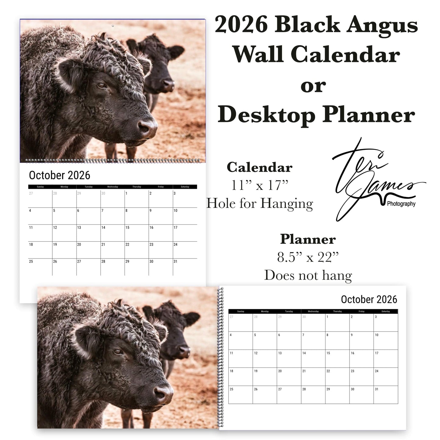2026 Black Angus Wall Calendar or Desktop Planner Wall Calendar Calendar Teri James Photography