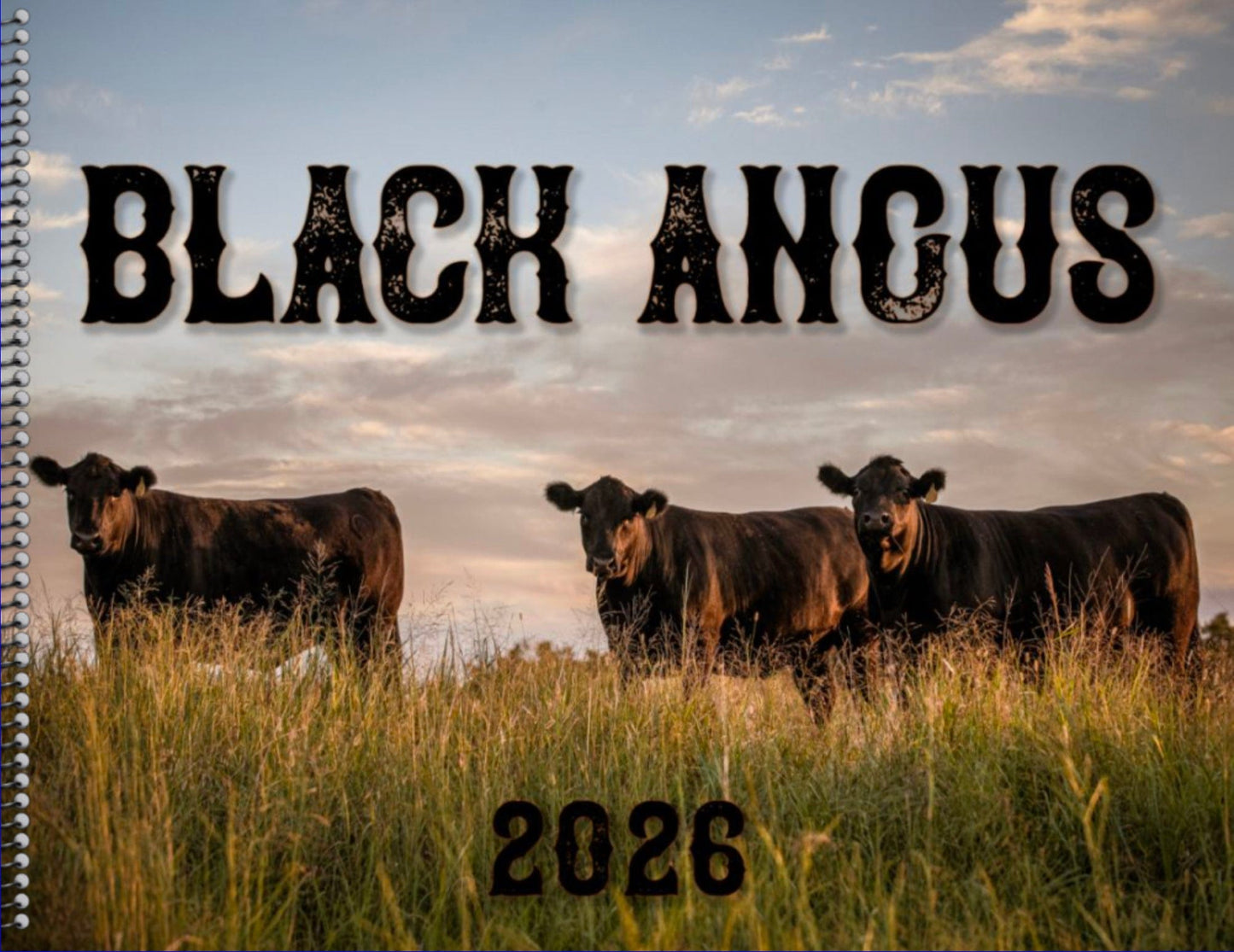 2026 Black Angus Wall Calendar or Desktop Planner Calendar Teri James Photography