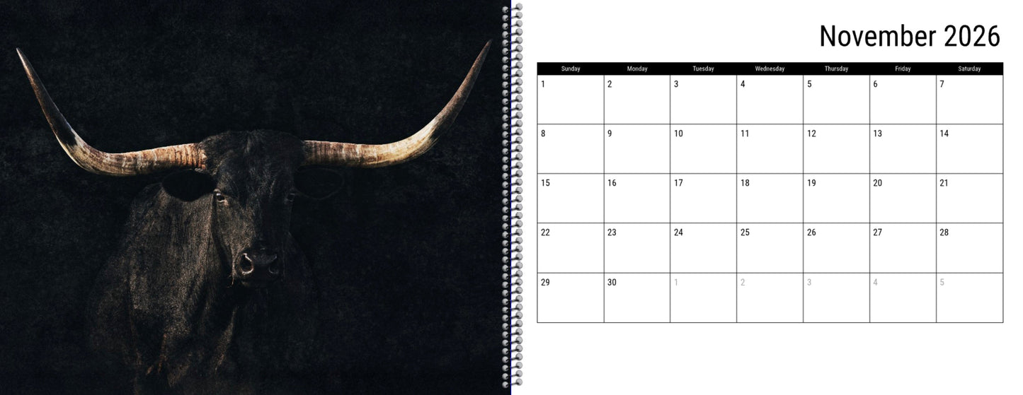 2026 Texas Longhorn Wall Calendar or Desktop Planner Calendar Teri James Photography