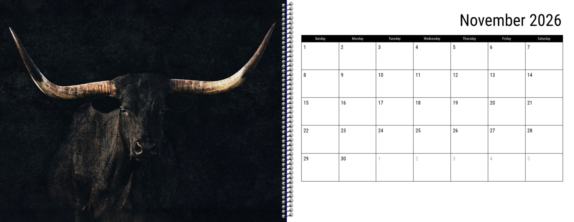 2026 Texas Longhorn Wall Calendar or Desktop Planner Calendar Teri James Photography