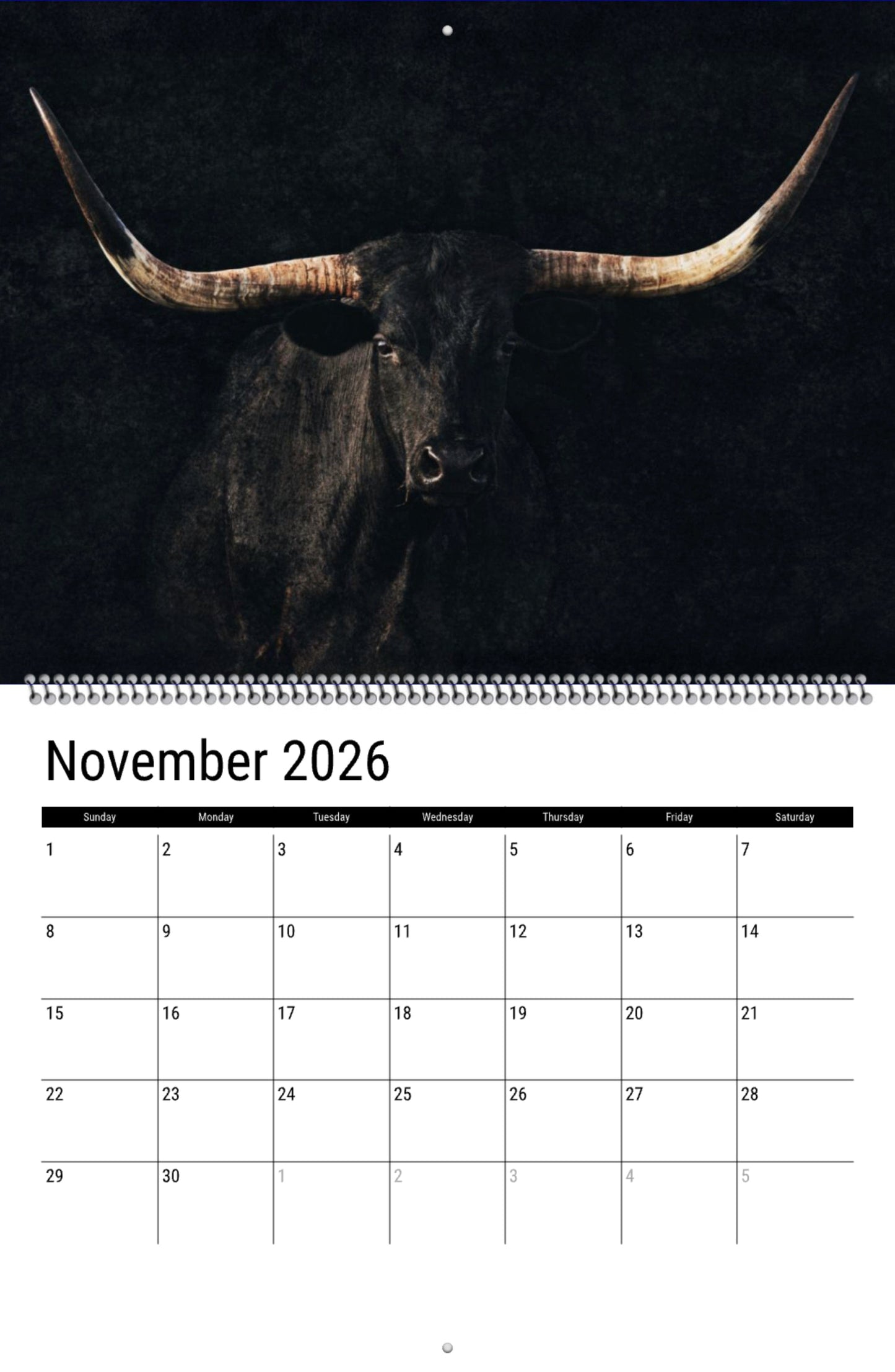 2026 Texas Longhorn Wall Calendar or Desktop Planner Wall Calendar Calendar Teri James Photography