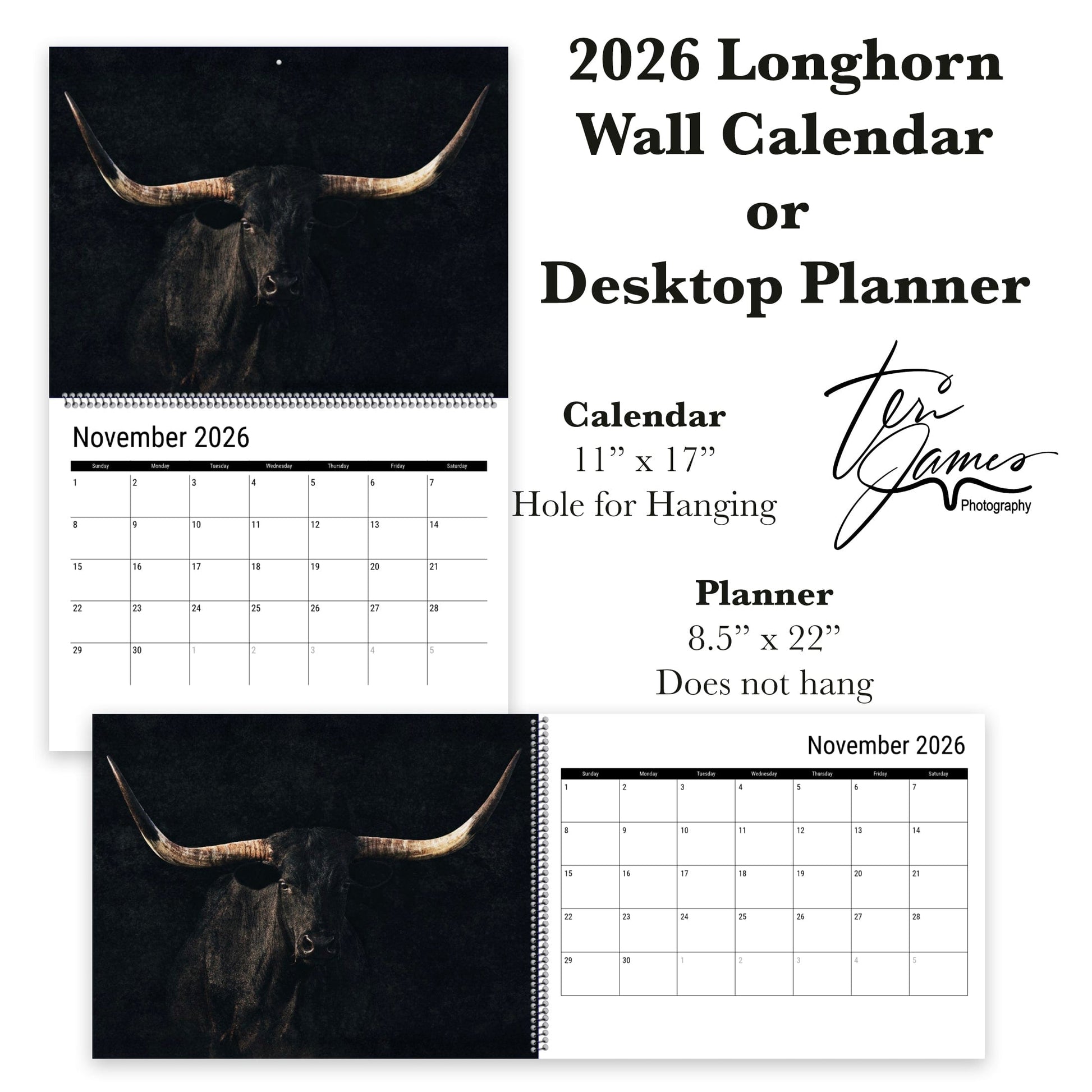 2026 Texas Longhorn Wall Calendar or Desktop Planner Calendar Teri James Photography