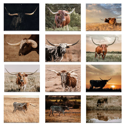 2026 Texas Longhorn Wall Calendar or Desktop Planner Calendar Teri James Photography