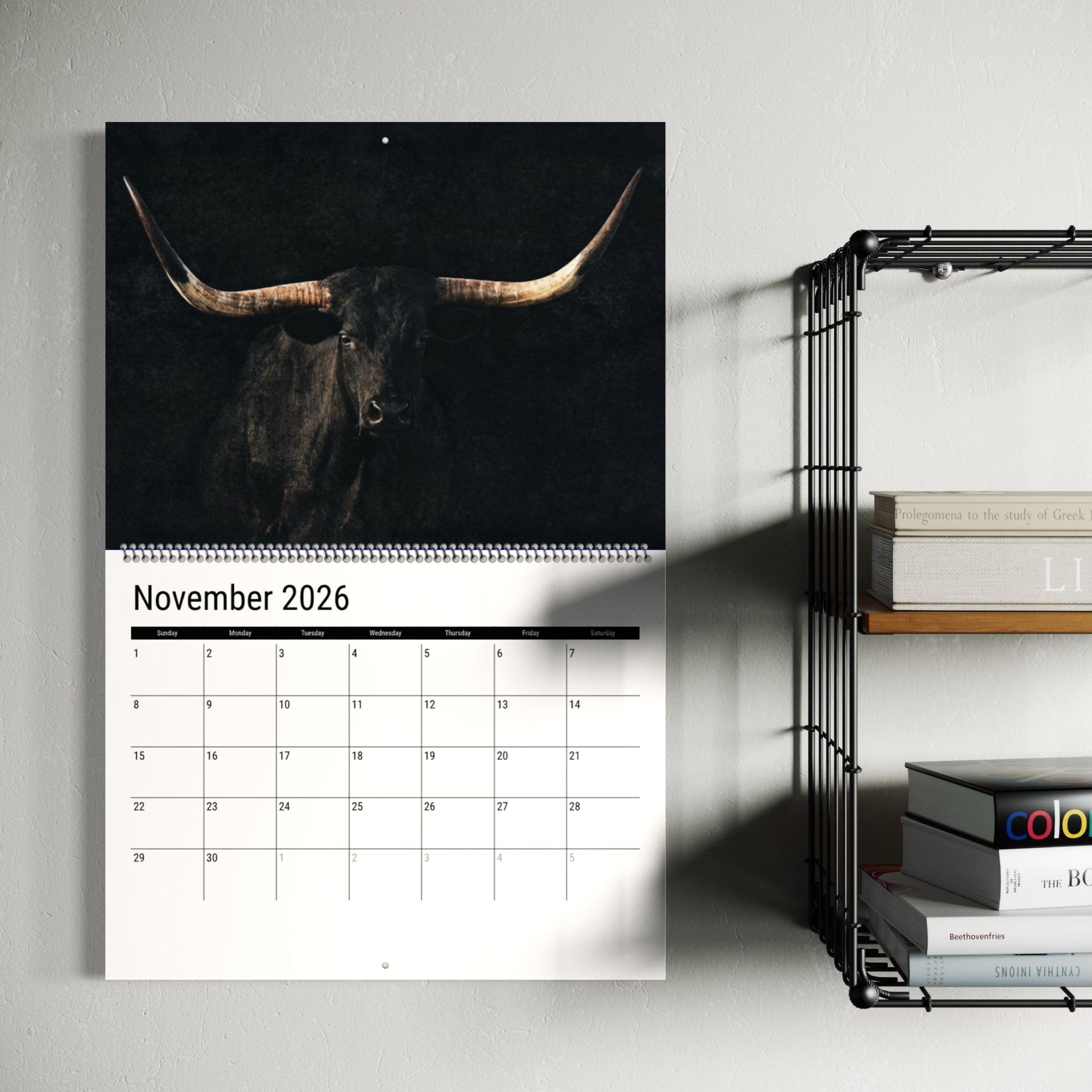 2026 Texas Longhorn Wall Calendar or Desktop Planner Calendar Teri James Photography