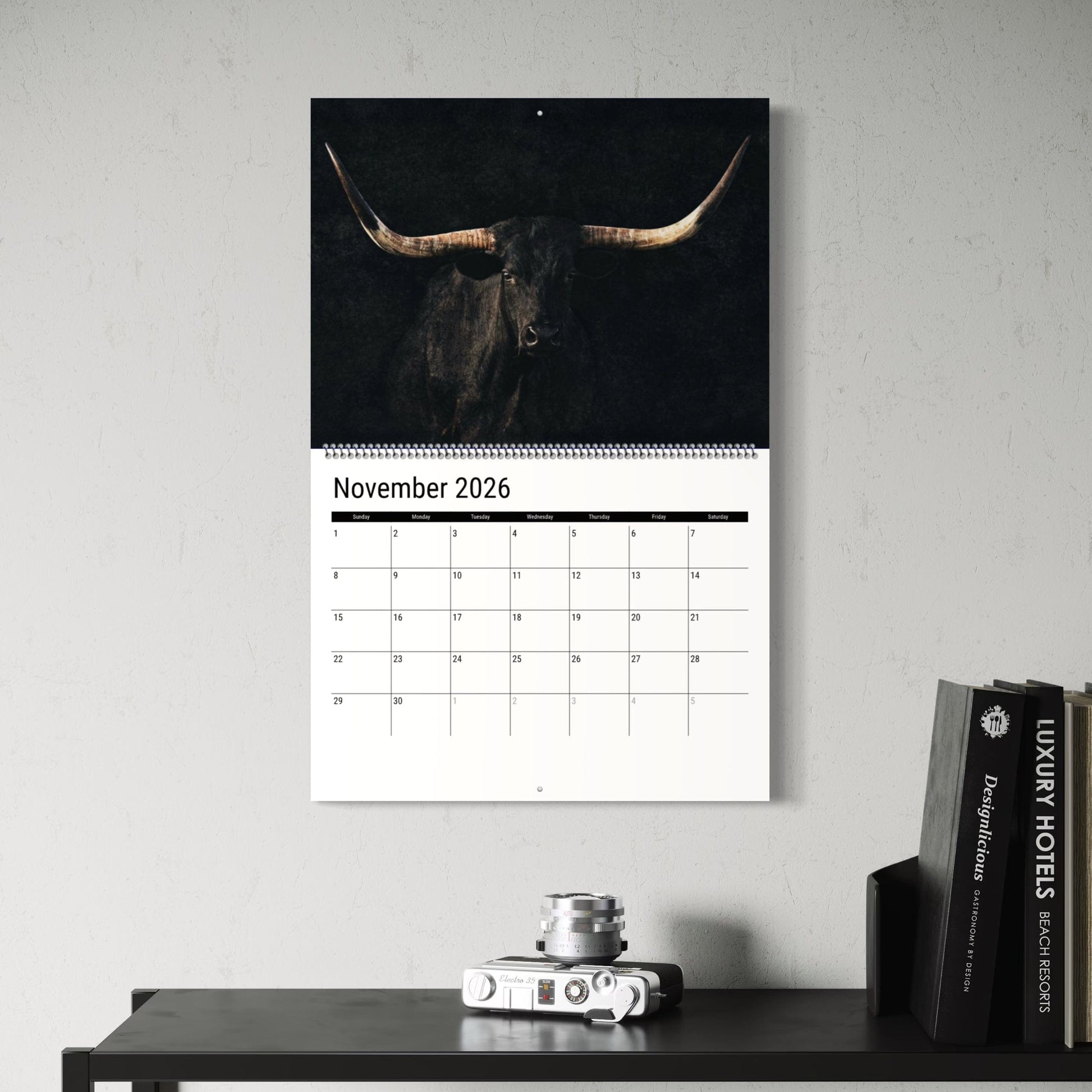 2026 Texas Longhorn Wall Calendar or Desktop Planner Calendar Teri James Photography