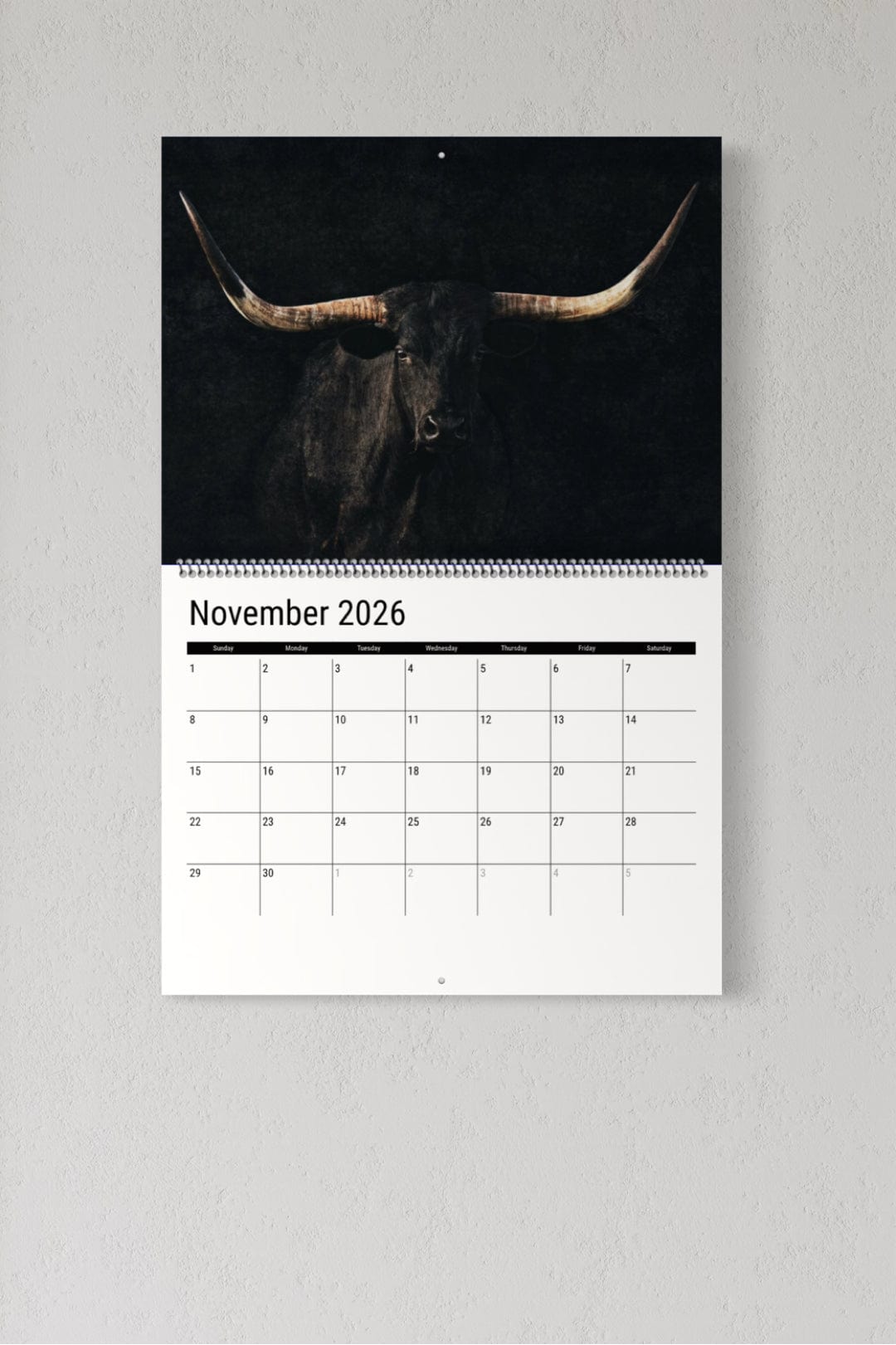 2026 Texas Longhorn Wall Calendar or Desktop Planner Calendar Teri James Photography