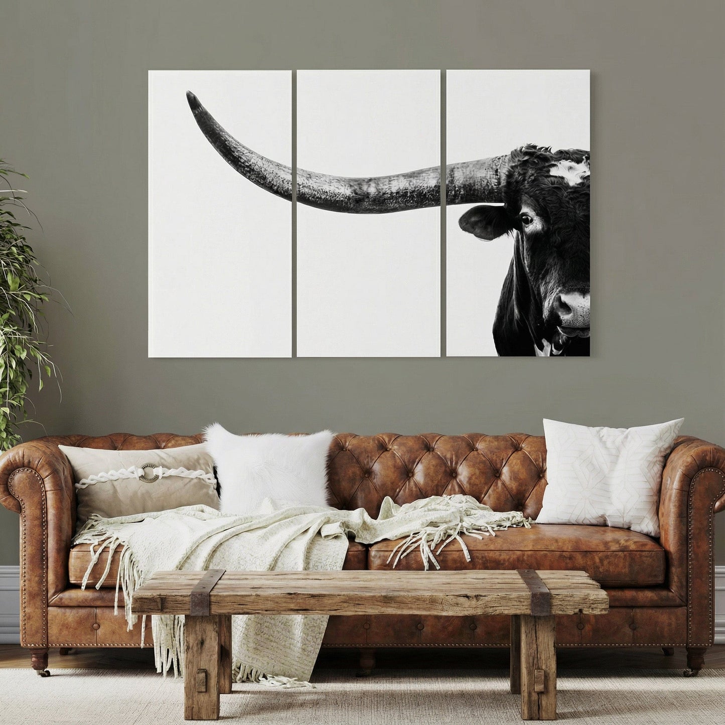 3 Piece Black and White Longhorn Canvas Wall Art Teri James Photography