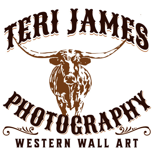 Teri James Photography