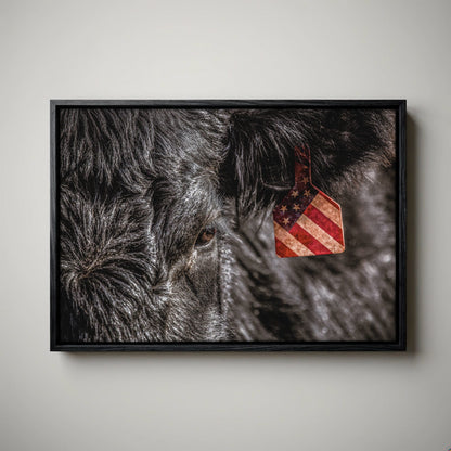 American Angus Beef Canvas - Black Angus Wall Art