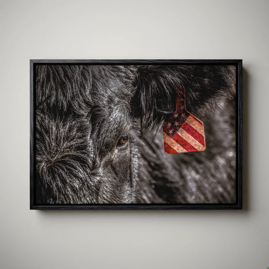 American Angus Beef Canvas - Black Angus Wall Art