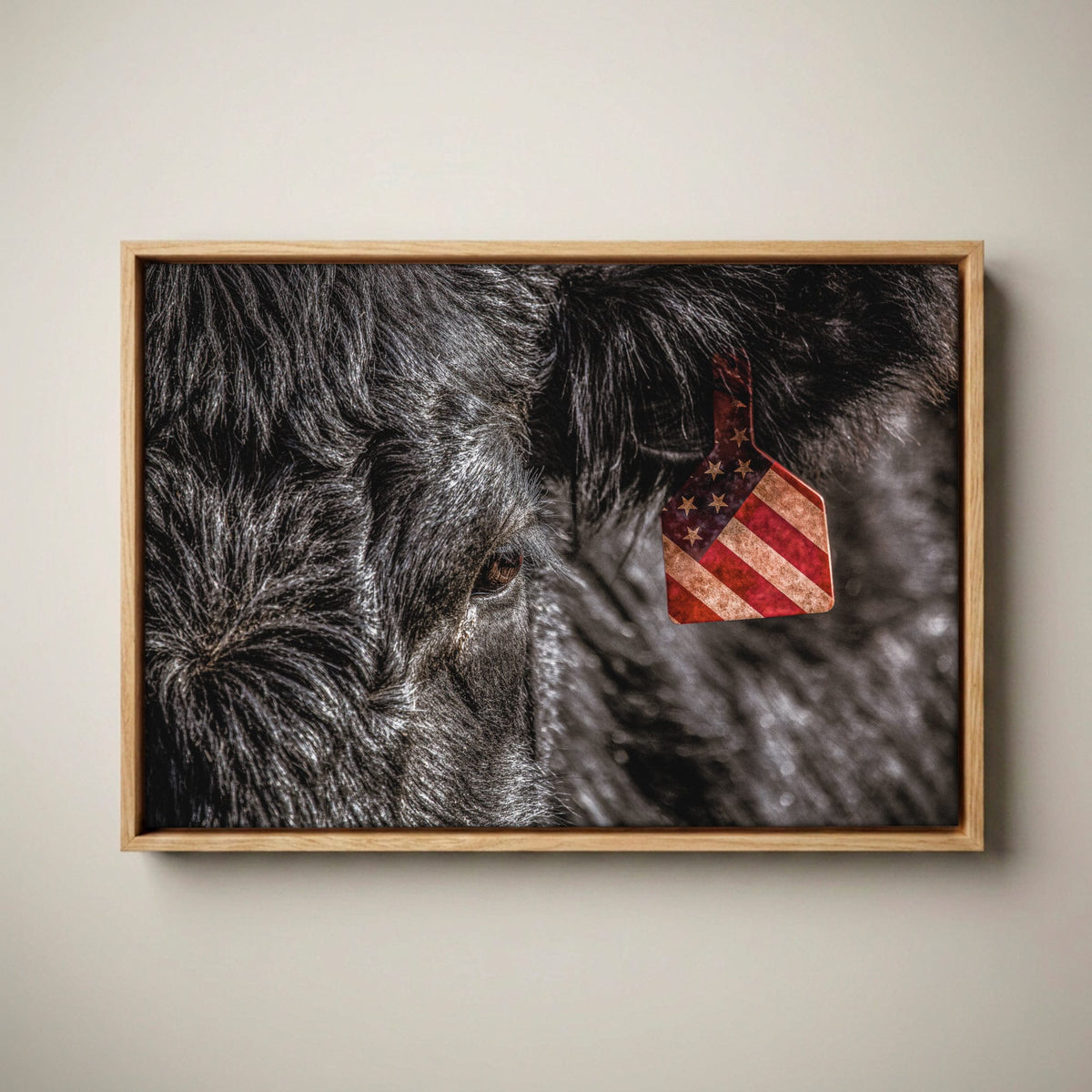 American Angus Beef Canvas - Black Angus Wall Art Canvas-Natural Oak Float Frame / 12 x 18 Inches
