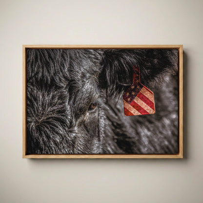 American Angus Beef Canvas - Black Angus Wall Art Canvas-Natural Oak Float Frame / 12 x 18 Inches