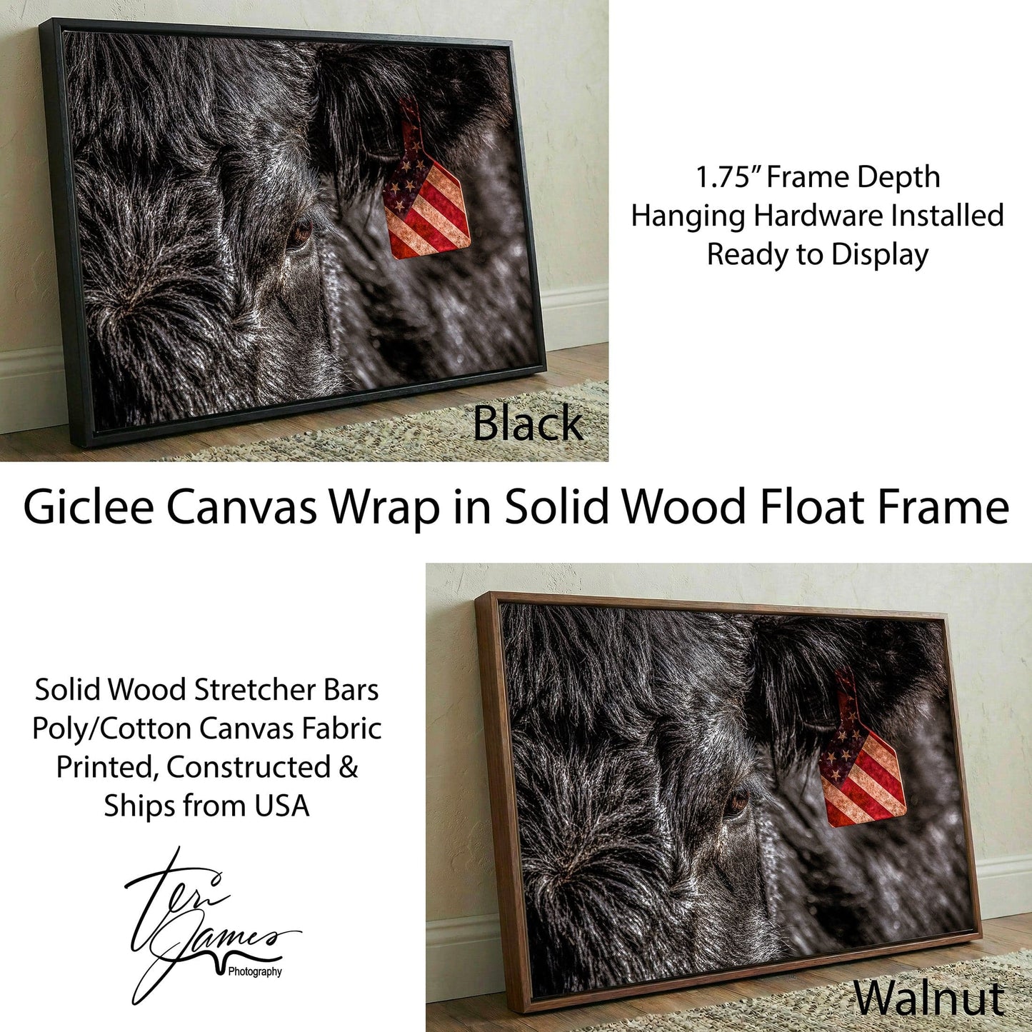 American Angus Beef Canvas - Black Angus Wall Art With Patriotic Ranch Decor Canvas-Black Frame / 12 x 18 Inches Wall Art Teri James Photography
