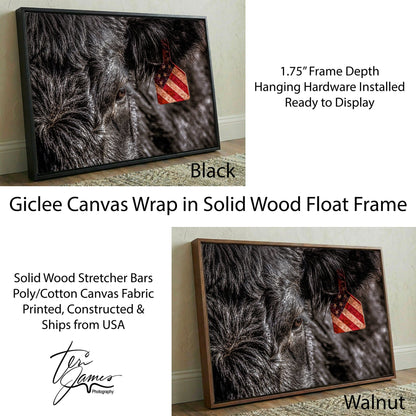 American Angus Beef Canvas - Black Angus Wall Art With Patriotic Ranch Decor Canvas-Black Frame / 12 x 18 Inches Wall Art Teri James Photography