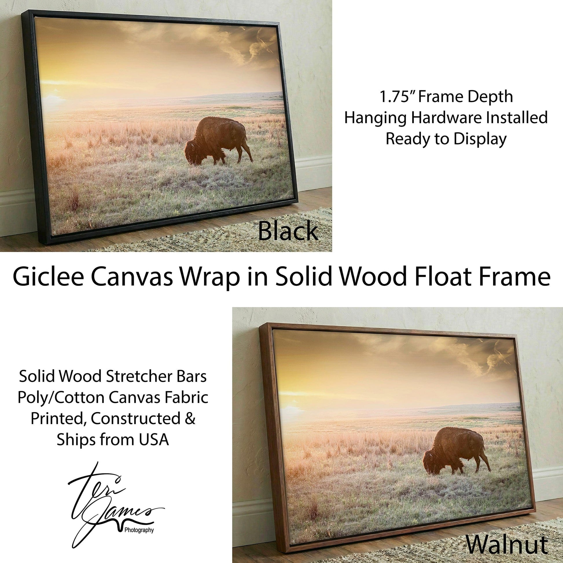 American Bison Canvas Print – Rustic Wildlife Wall Art by Teri James Photography Canvas-Black Frame / 12 x 18 Inches Wall Art Teri James Photography