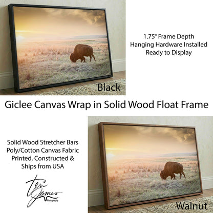 American Bison Canvas Print – Rustic Wildlife Wall Art by Teri James Photography Canvas-Black Frame / 12 x 18 Inches Wall Art Teri James Photography