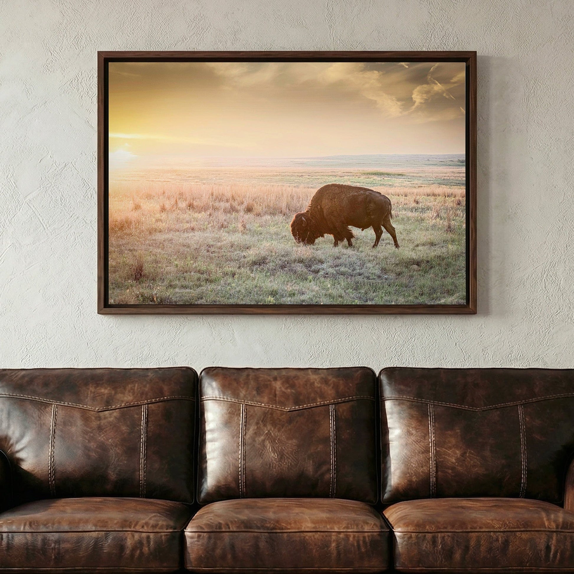 American Bison Canvas Print Wall Art Teri James Photography