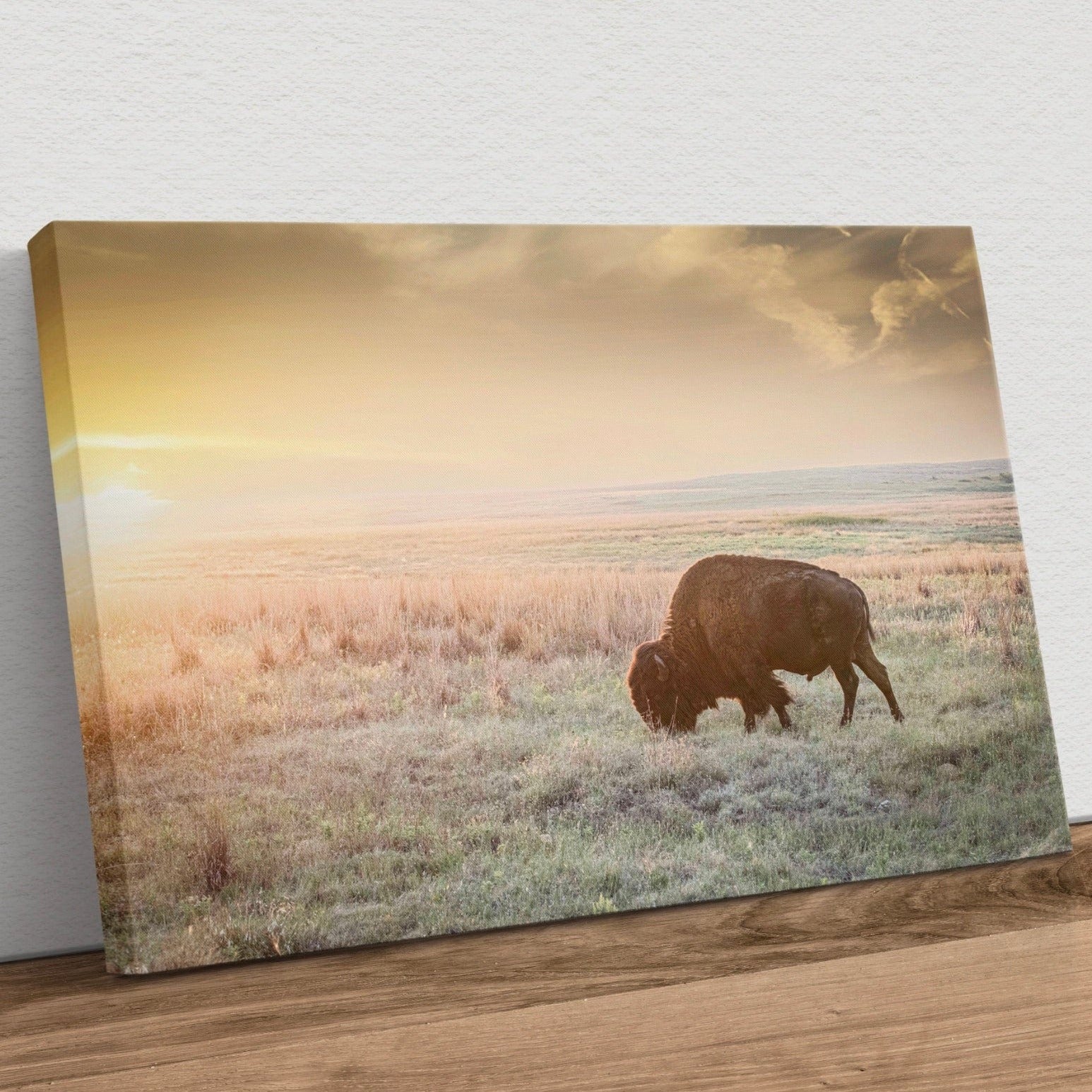 American Bison Canvas Print Canvas-Unframed / 12 x 18 Inches Wall Art Teri James Photography