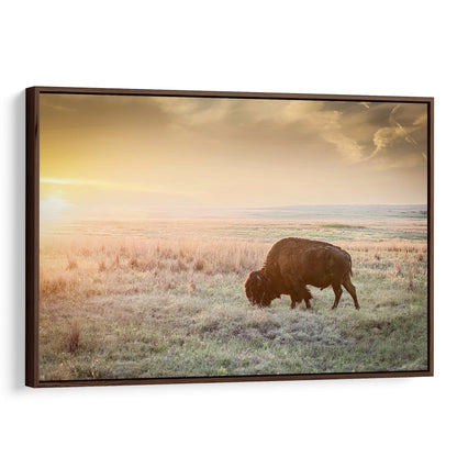 American Bison Canvas Print Canvas-Walnut Frame / 12 x 18 Inches Wall Art Teri James Photography