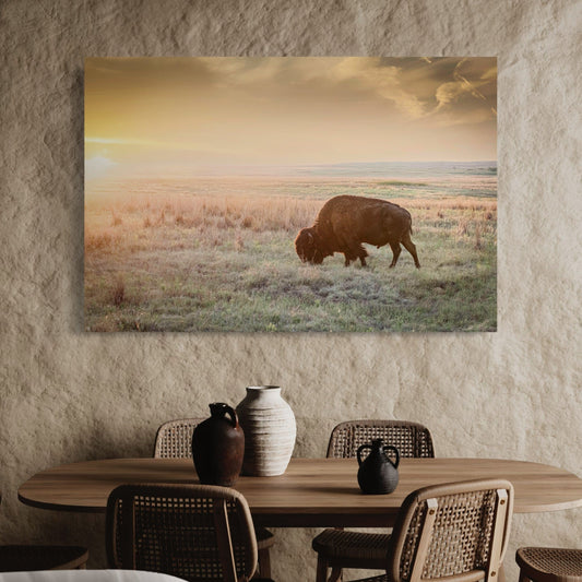 American Bison Canvas Print Wall Art Teri James Photography