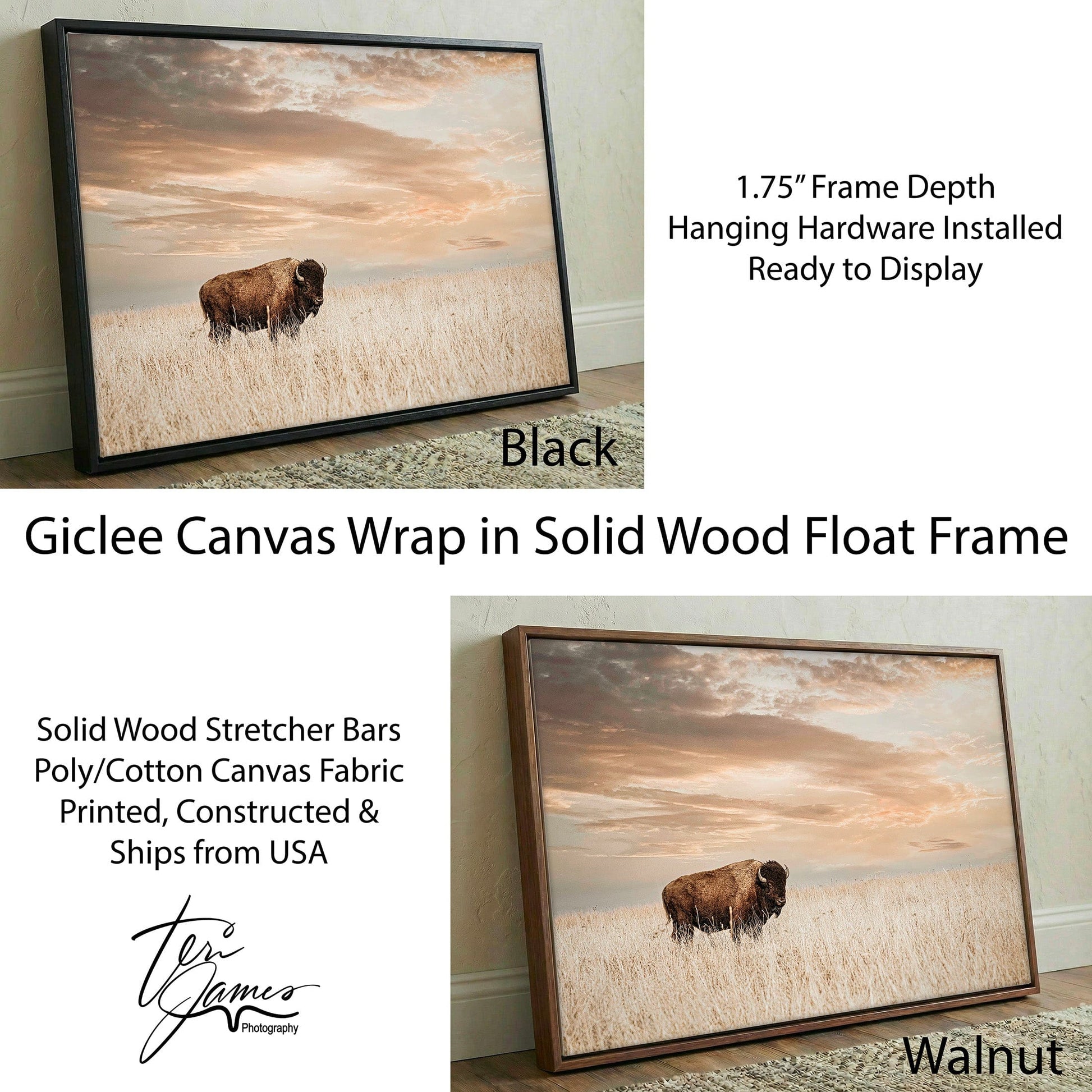 American Bison Wall Art - Large Wildlife Wall Decor - Rustic Animal Print Canvas-Black Frame / 12 x 18 Inches Wall Art Teri James Photography