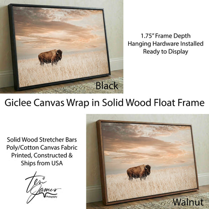 American Bison Wall Art - Large Wildlife Wall Decor - Rustic Animal Print Canvas-Black Frame / 12 x 18 Inches Wall Art Teri James Photography