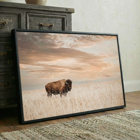 American Bison Wall Art - Large Wildlife Wall Decor - Rustic Animal Print Wall Art Teri James Photography