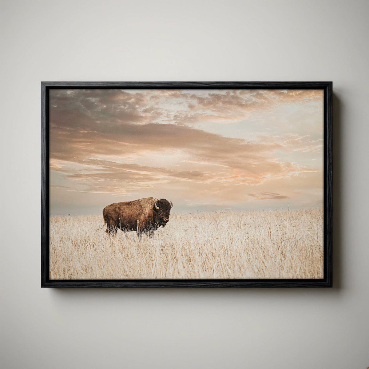 American Bison Wall Art - Large Wildlife Wall Decor