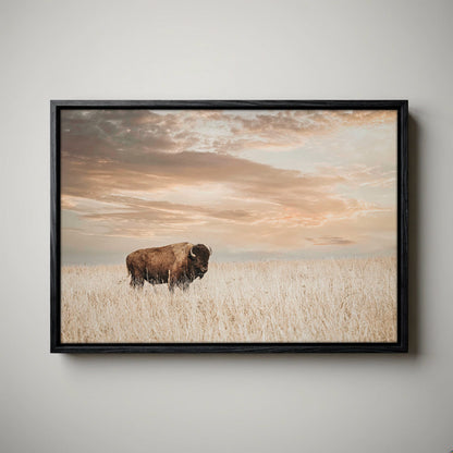 American Bison Wall Art - Large Wildlife Wall Decor