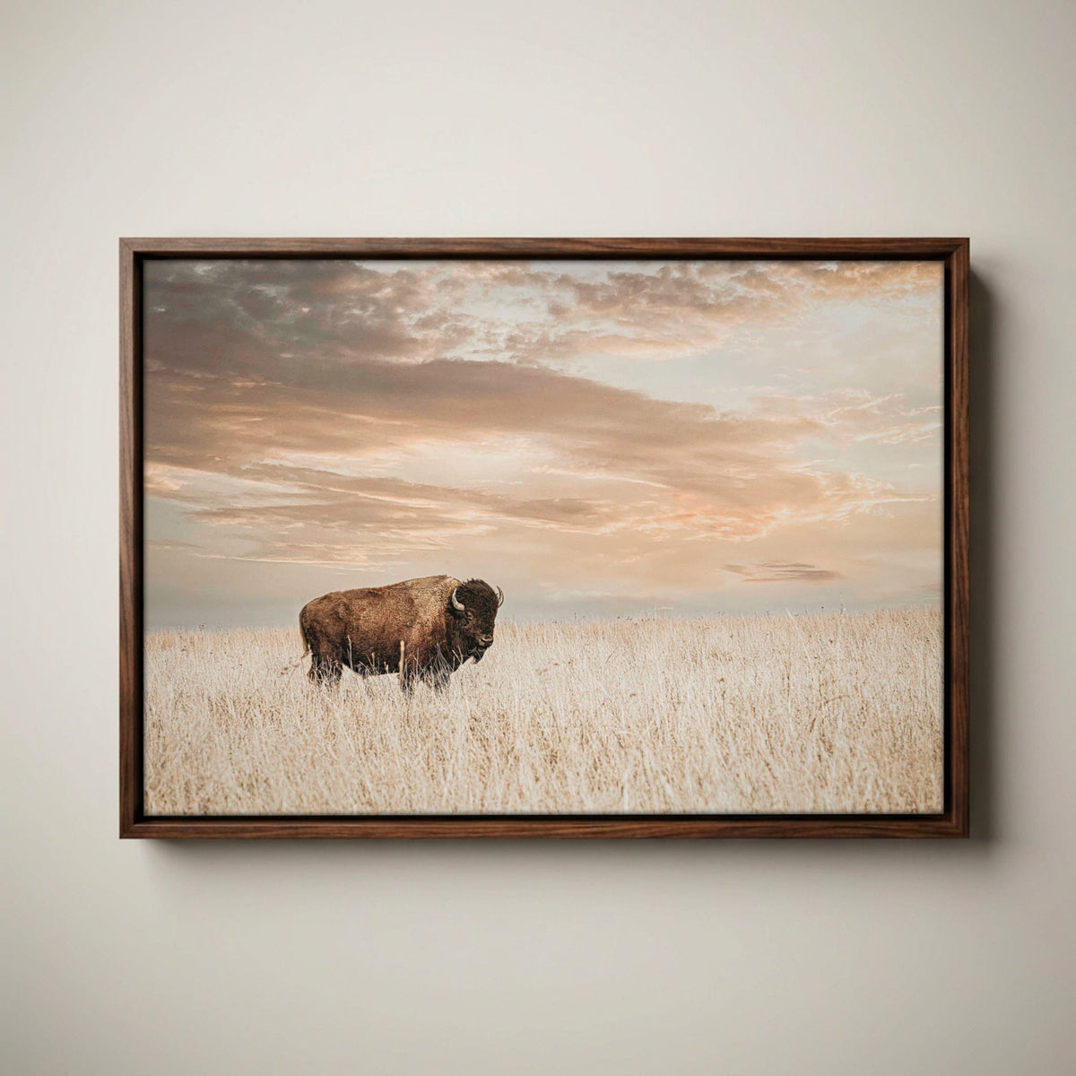 American Bison Wall Art - Large Wildlife Wall Decor