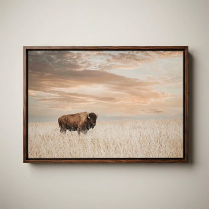 American Bison Wall Art - Large Wildlife Wall Decor