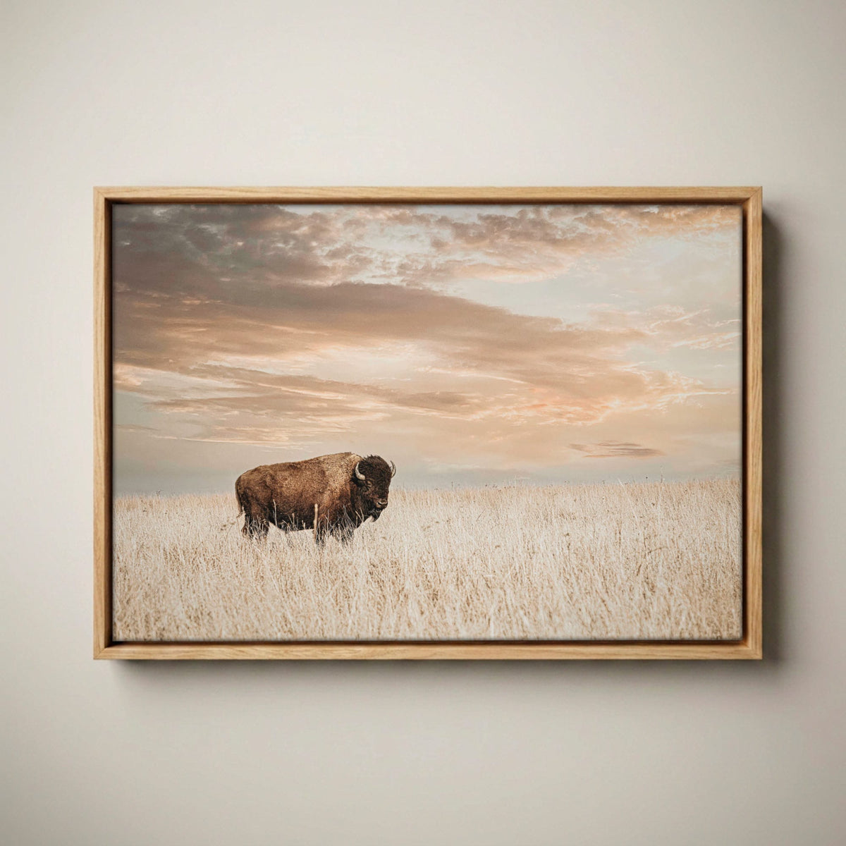 American Bison Wall Art - Large Wildlife Wall Decor Canvas-Natural Oak Float Frame / 12 x 18 Inches